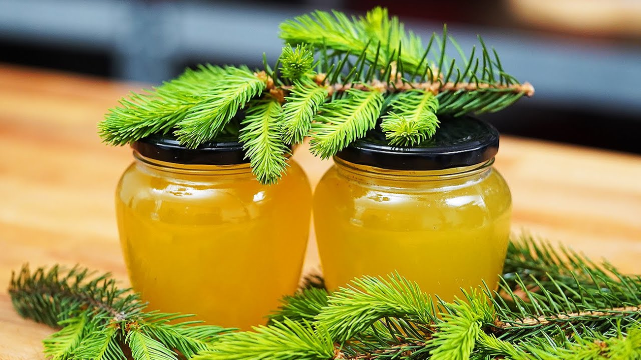 Sirop din muguri de brad la rece — remediu natural fără zahăr